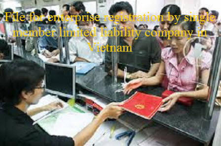 Hồ sơ đăng ký doanh nghiệp đối với công ty trách nhiệm hữu hạn một thành viên Việt Nam