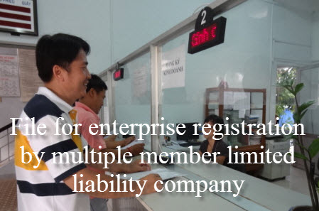 File for enterprise registration by multiple member limited liability company in Vietnam