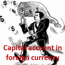 Using a capital account in a foreign currency of foreign direct investment in Vietnam