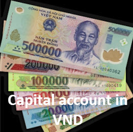 Use of capital account in Vietnam Dong of foreign direct investment in Vietnam