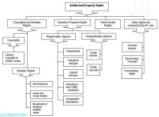 Vietnam Intellectual Property Rights Chart