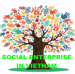 The social enterprise in Vietnam