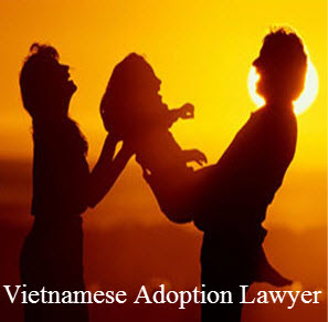 Vietnamese adoption lawyer 