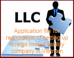 Application file for registration of setting up foreign limited liability company in Vietnam