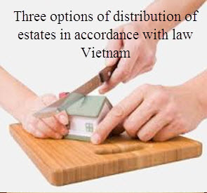 Three options of distribution of estates in accordance with civil law of Vietnam