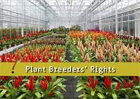 Intellectual property rights on Plant varieties