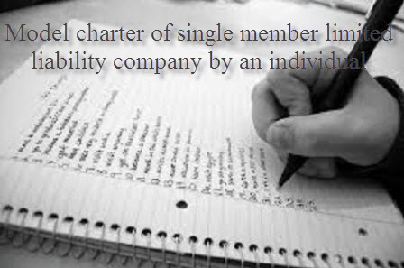 Model charter of single member limited liability company by an individual