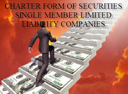 Charter form applicable to securities single member limited liability companies in Vietnam