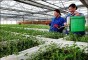 Bổ sung chính sách ưu đãi dành cho doanh nghiệp đầu tư vào nông nghiệp, nông thôn Việt Nam