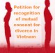 Application file for recognition of mutual consent for divorce in Vietnam