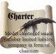 Model charter of single member limited liability company in form of chairman