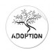 Registration procedures of adoption from Vietnam – specific adoption case